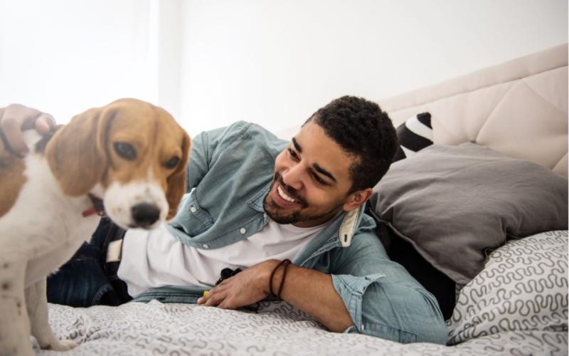 a person lying on a bed with a dog